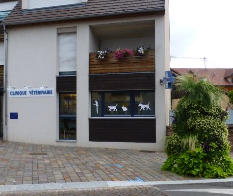 CLINIQUE VÉTÉRINAIRE DU HOHLANDSBOURG